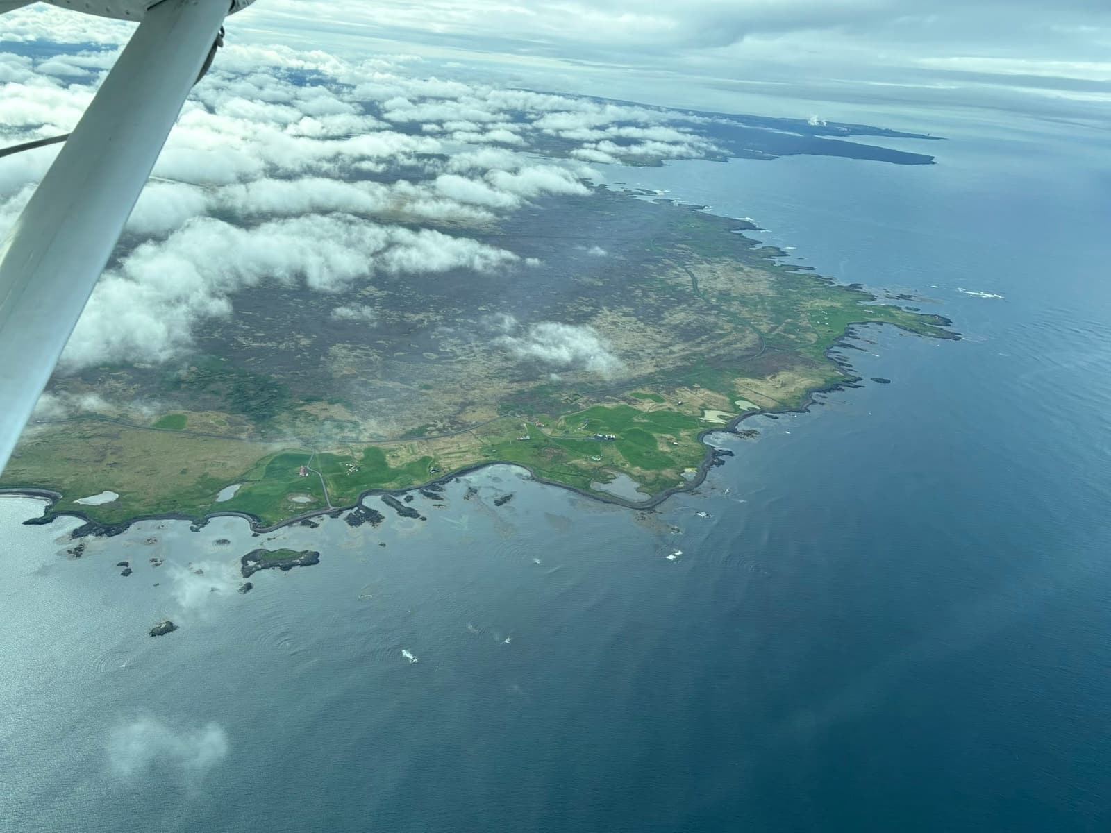 View past the wing strut of a high-wing aircraft over a green, rocky coastline and open sea.